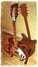 Rickenbacker 360/6 , Fireglo: Neck - Front