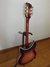 Rickenbacker 381/12 V69, Fireglo: Full Instrument - Rear