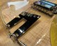 Rickenbacker 660/6 , Mapleglo: Close up - Free