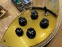 Rickenbacker 660/6 , Mapleglo: Close up - Free2
