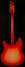 Rickenbacker 330/6 , Fireglo: Full Instrument - Rear