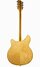 Rickenbacker 360/6 Bound Headstock, Mapleglo: Full Instrument - Rear