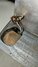 Rickenbacker 100/6 LapSteel, Gray: Free image