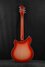 Rickenbacker 360/12 , Fireglo: Full Instrument - Rear