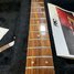 Rickenbacker 330/6 , Mapleglo: Neck - Front