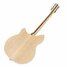 Rickenbacker 360/6 , Mapleglo: Full Instrument - Rear