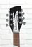 Rickenbacker 360/12 , Jetglo: Headstock