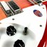 Rickenbacker 360/12 , Fireglo: Free image