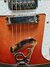 Rickenbacker 481/6 Slant Fret, Fireglo: Close up - Free2