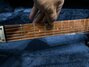 Rickenbacker 610/6 VB VP, Jetglo: Neck - Front