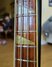 Rickenbacker 4001/4 , Mapleglo: Neck - Front