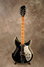 Rickenbacker 381/12 V69, Jetglo: Full Instrument - Front