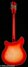 Rickenbacker 360/12 , Fireglo: Full Instrument - Rear