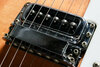 Rickenbacker 360/6 , Fireglo: Close up - Free2