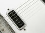Rickenbacker 450/6 , Fireglo: Close up - Free2