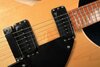 Rickenbacker 330/6 BH BT, Mapleglo: Free image2
