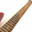 Rickenbacker 330/6 , Ruby: Neck - Front