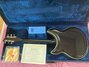 Rickenbacker 381/6 JK, Jetglo: Full Instrument - Rear