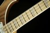 Rickenbacker 4003/4 , Natural Walnut: Neck - Front