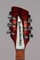 Rickenbacker 360/12 , Fireglo: Close up - Free