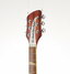 Rickenbacker 360/6 , Fireglo: Headstock