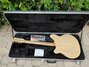 Rickenbacker 360/6 , Mapleglo: Full Instrument - Rear