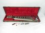 Rickenbacker 100/6 LapSteel, Gray: Free image2