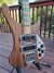Rickenbacker 4003/4 AC Al Cisneros model, Natural Walnut: Body - Front
