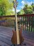 Rickenbacker 4003/4 AC Al Cisneros model, Natural Walnut: Full Instrument - Rear