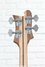 Rickenbacker 4003/4 AC Al Cisneros model, Natural Walnut: Headstock - Rear
