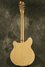 Rickenbacker 360/12 VP, Mapleglo: Full Instrument - Rear