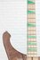 Rickenbacker 4003/4 AC Al Cisneros model, Natural Walnut: Neck - Front