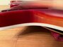 Rickenbacker 660/12 TP, Fireglo: Full Instrument - Rear