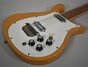 Rickenbacker 450/12 Setneck, Natural: Free image