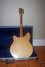 Rickenbacker 360/12 , Natural: Full Instrument - Rear
