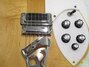 Rickenbacker 620/6 , Mapleglo: Close up - Free2