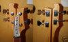 Aug 1973 Rickenbacker 4001/4 FL, Mapleglo: Headstock