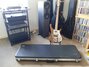 Rickenbacker 4003/4 S, Natural Walnut: Free image2