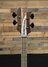 Rickenbacker 4003/4 S, Natural Walnut: Headstock