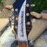 Rickenbacker 381/6 V69, Jetglo: Headstock