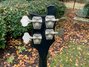 Rickenbacker 4001/4 , Jetglo: Headstock - Rear