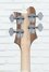 Rickenbacker 4003/4 AC Al Cisneros model, Natural Walnut: Headstock - Rear