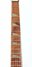 Rickenbacker 620/6 , Jetglo: Neck - Front