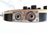 Rickenbacker 620/6 , Jetglo: Close up - Free