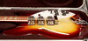 Rickenbacker 370/12 VP, MonteBrown: Free image