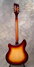 Rickenbacker 370/12 VP, MonteBrown: Full Instrument - Rear