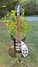Rickenbacker 325/6 C64, Jetglo: Full Instrument - Front