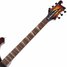 Rickenbacker 480/6 XC 90th Anniversary, Tobaccoglo: Neck - Front