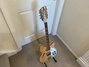 Rickenbacker 360/12 , Mapleglo: Free image