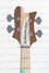 Rickenbacker 4003/4 AC Al Cisneros model, Natural Walnut: Headstock